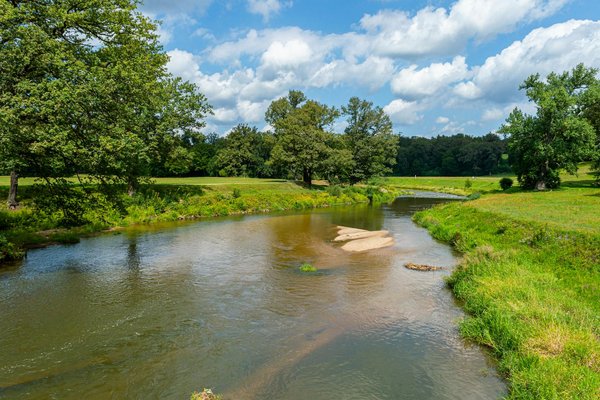 Empowering Oral Health: Innovative Strategies for UK Dental Hygienists to Support Patients with Special Needs