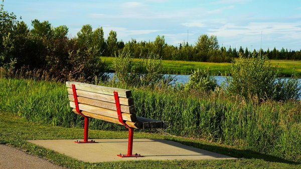 Transform your life: the ultimate migraine management tool